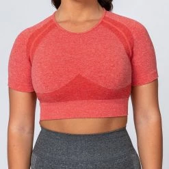 Muscle Nation Classic Seamless Tee - Poppy Marl